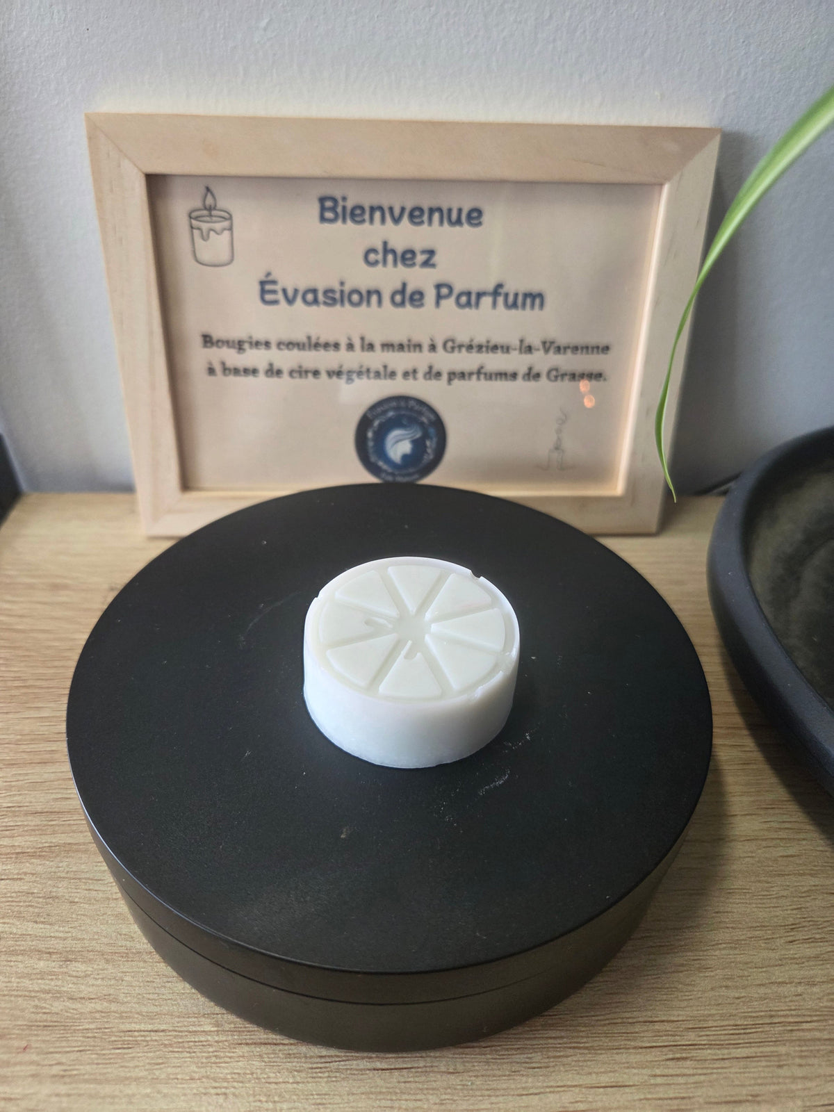 Fondant parfumé Brise marine de 23 g