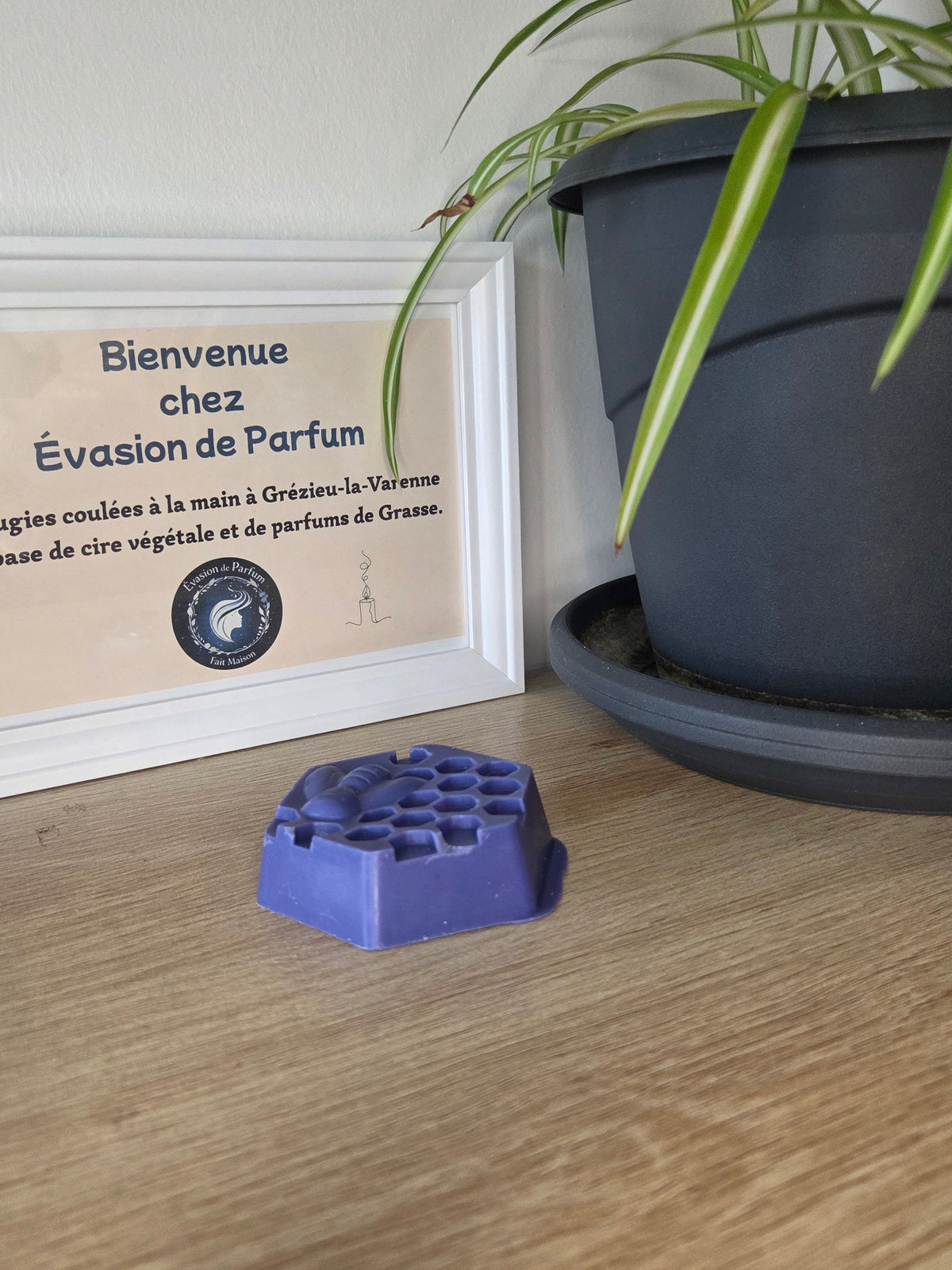 Fondant Adoucissant évasion de parfum