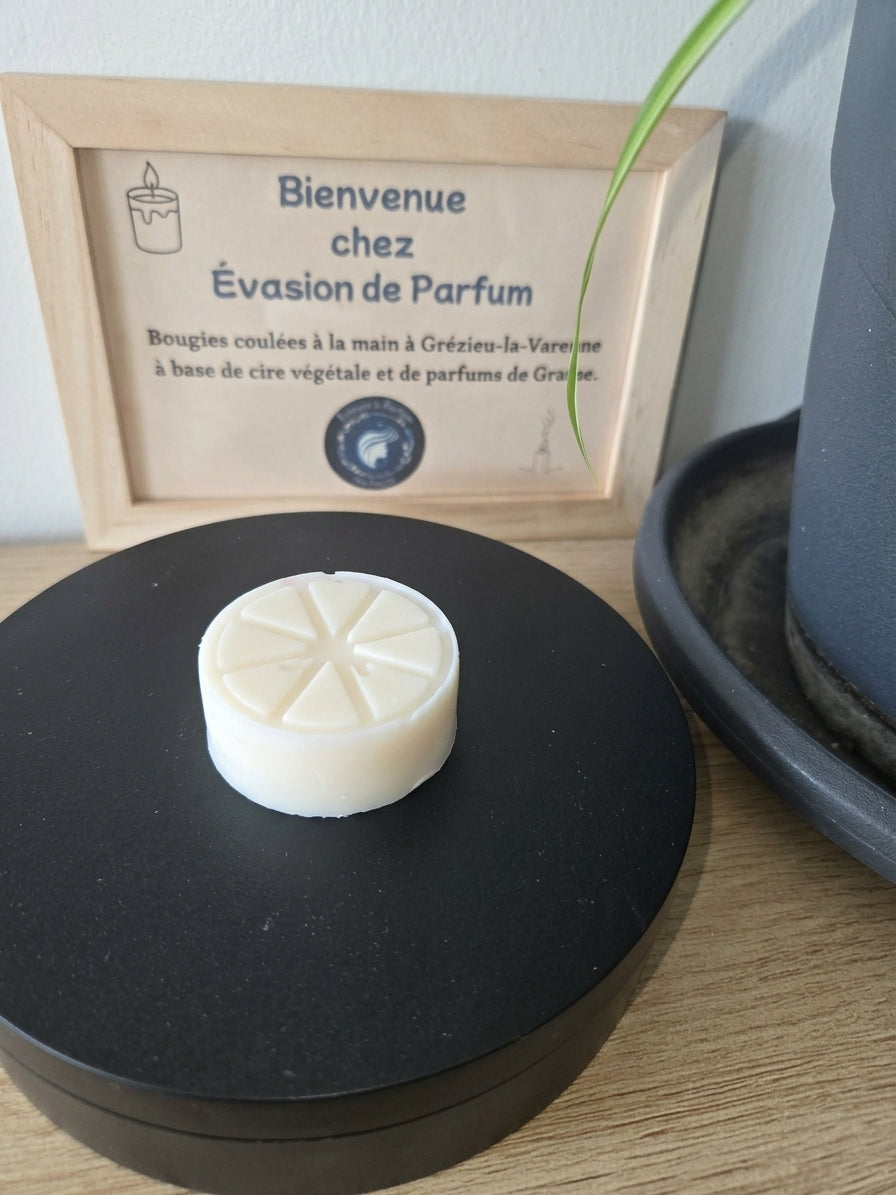 Fondant parfumé Monoï de 23 g